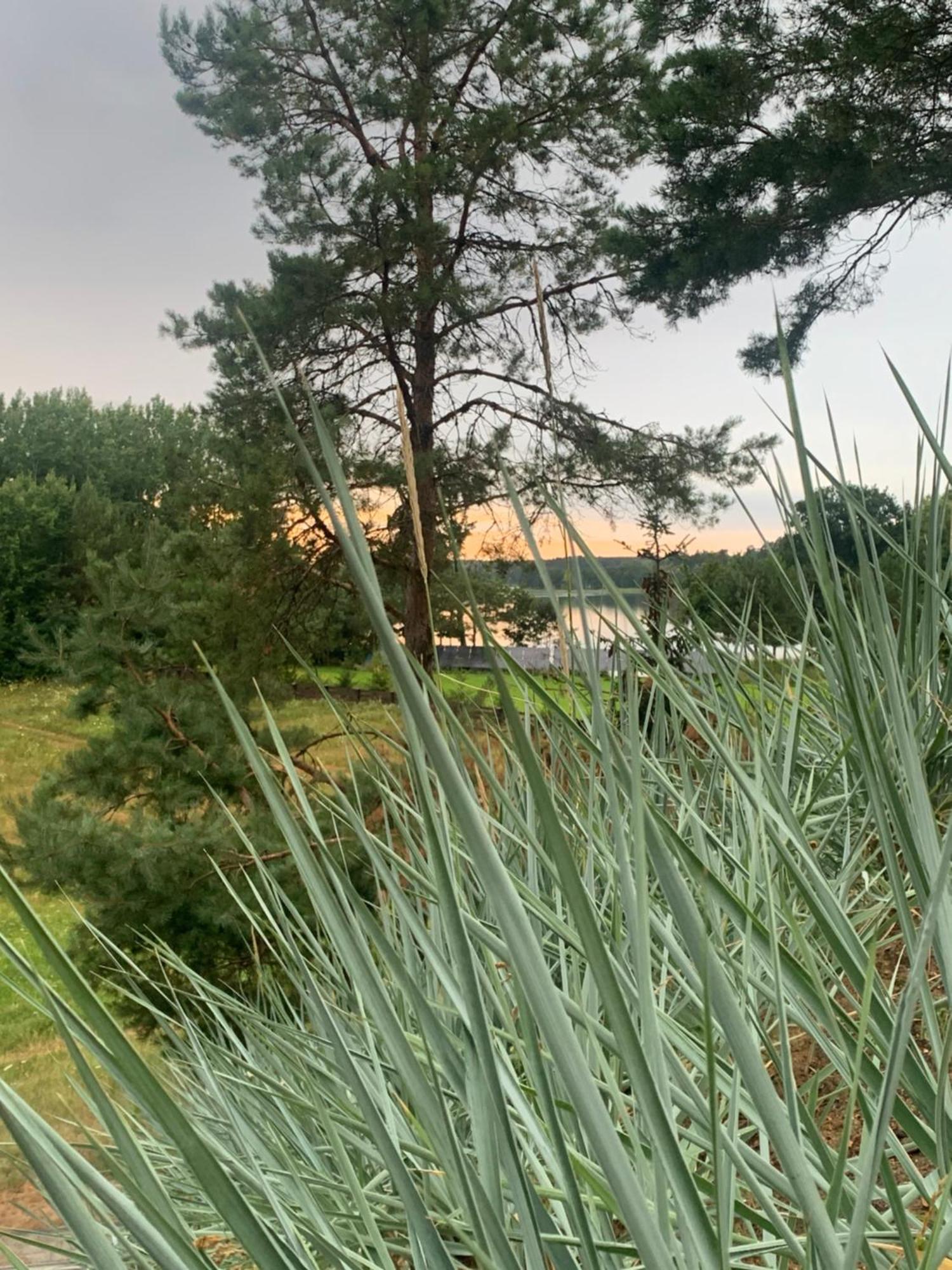 Dom Nad Jeziorem Gaja House Jadamowo Eksteriør billede
